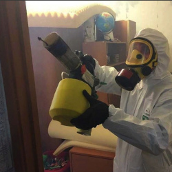 Уничтожение клопов в квартире. Владивосток